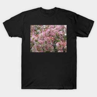 Cherry Blossom flowers white and pink in focus T-Shirt